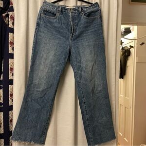 Aritzia Denim Forum Farrah Jeans 28L